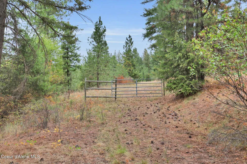 1571 Stone Road Blanchard, ID 83804