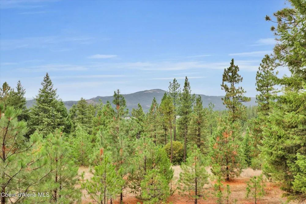 1571 Stone Road Blanchard, ID 83804