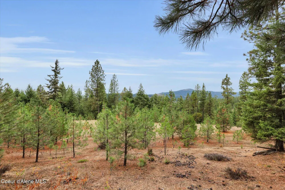 1571 Stone Road Blanchard, ID 83804