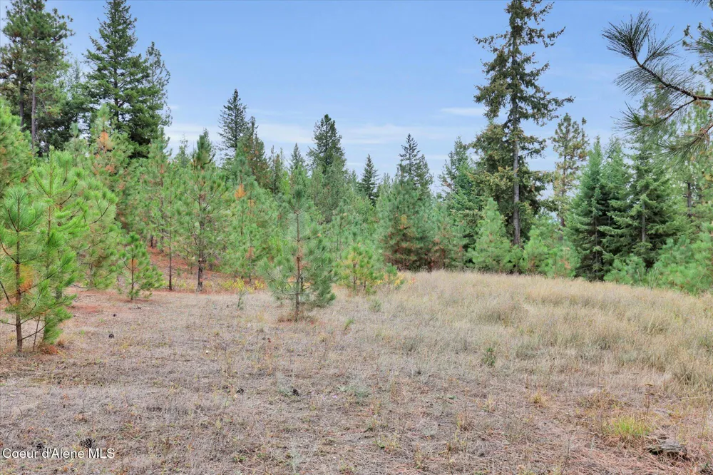 1571 Stone Road Blanchard, ID 83804