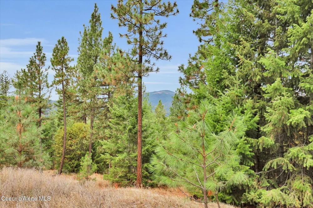 1571 Stone Road Blanchard, ID 83804