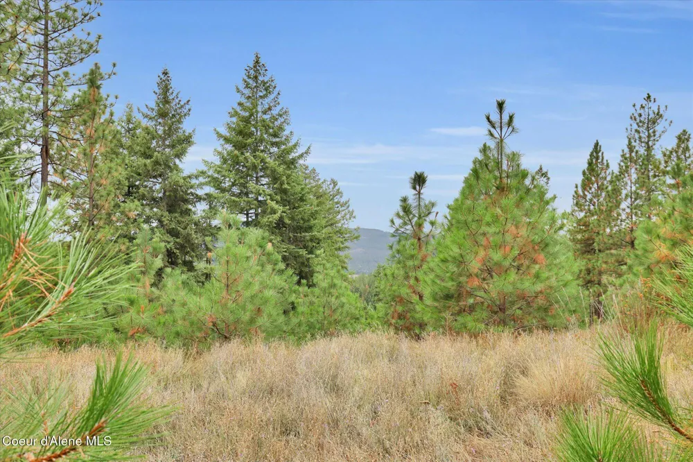 1571 Stone Road Blanchard, ID 83804