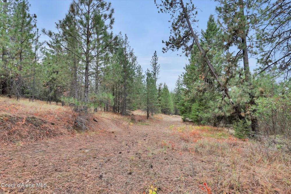 1571 Stone Road Blanchard, ID 83804