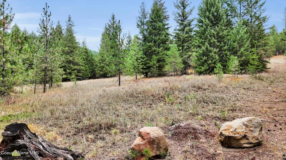 1571 Stone Road Blanchard, ID 83804