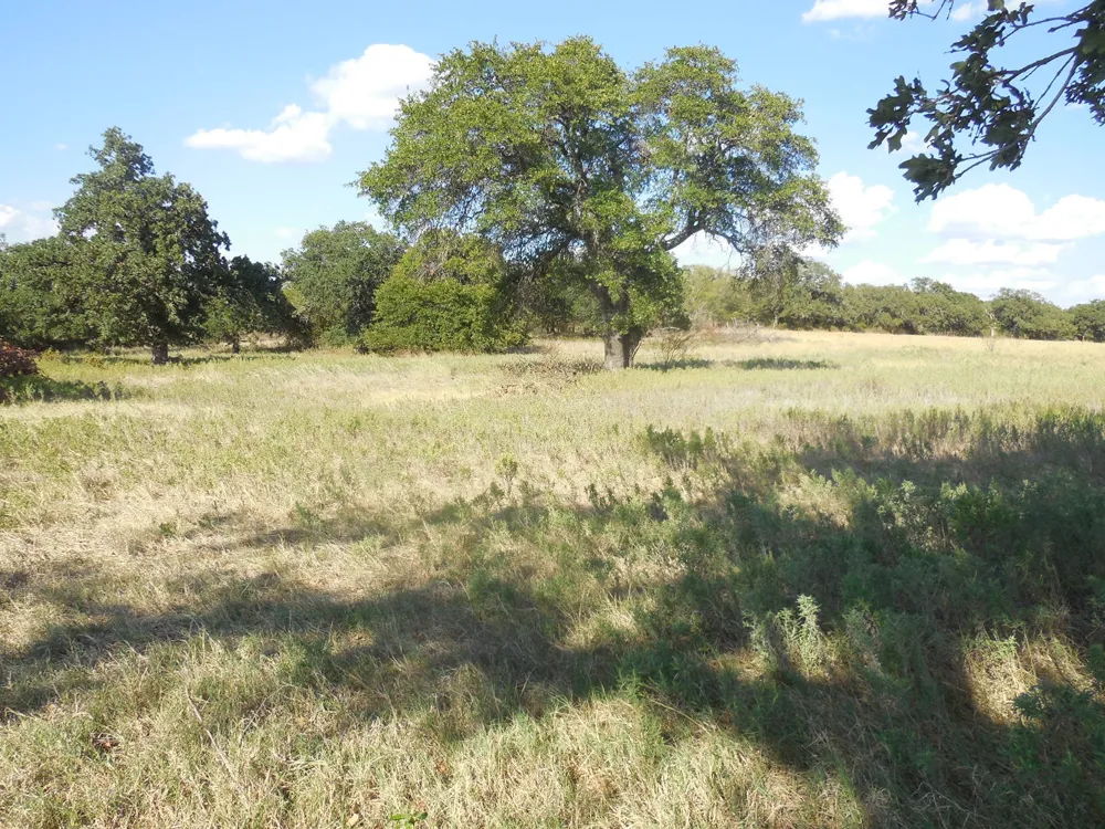 2502 Highway 112 Eastland, TX 76448