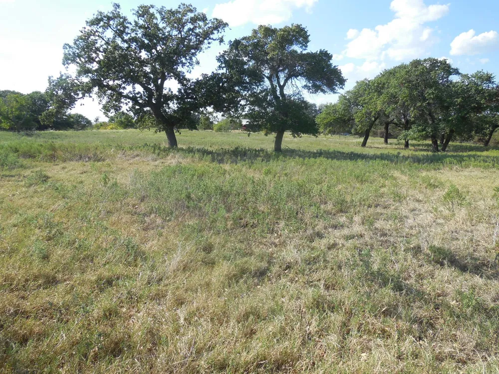 2502 Highway 112 Eastland, TX 76448