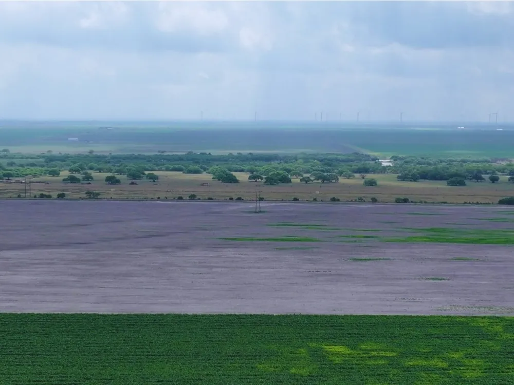 FM 53 Odem, TX 78370