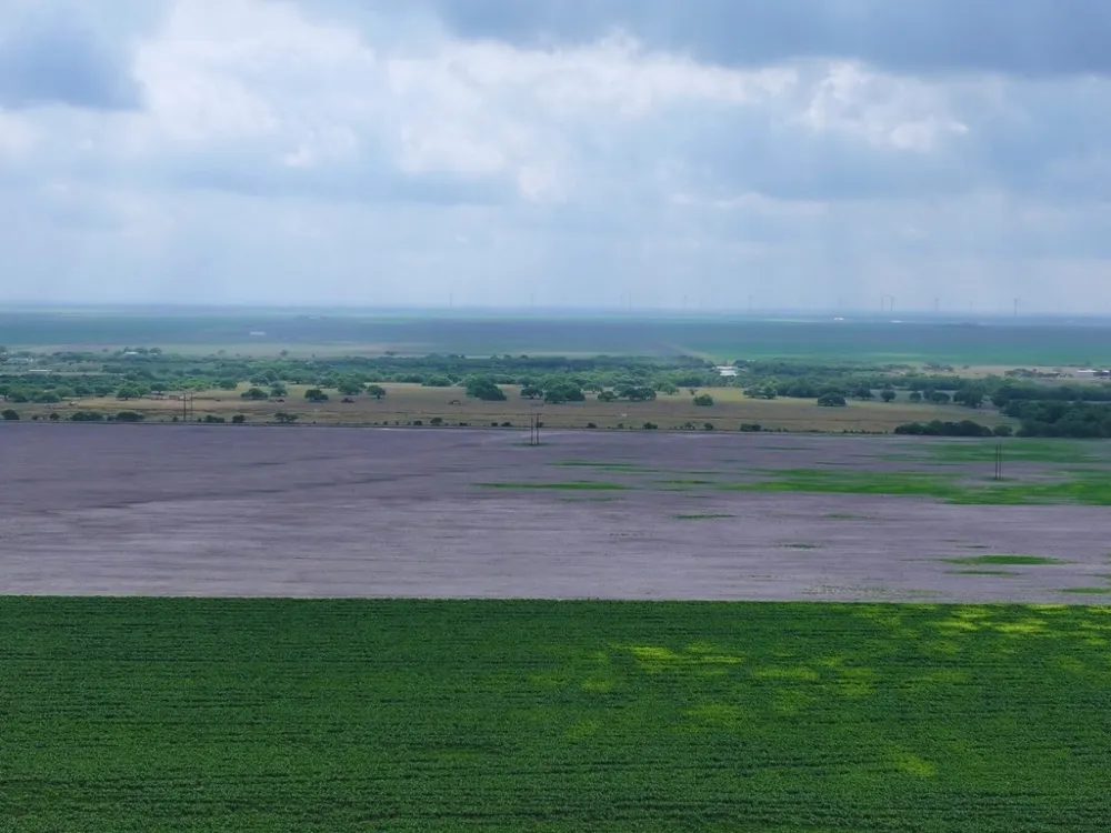 FM 53 Odem, TX 78370
