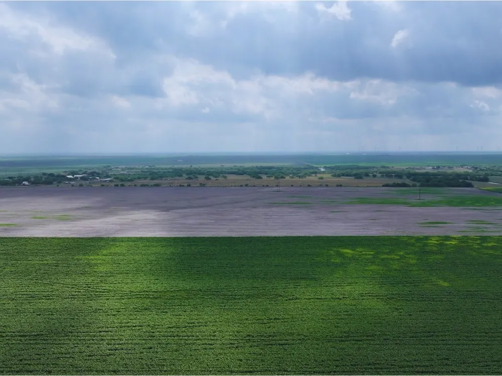 FM 53 Odem, TX 78370