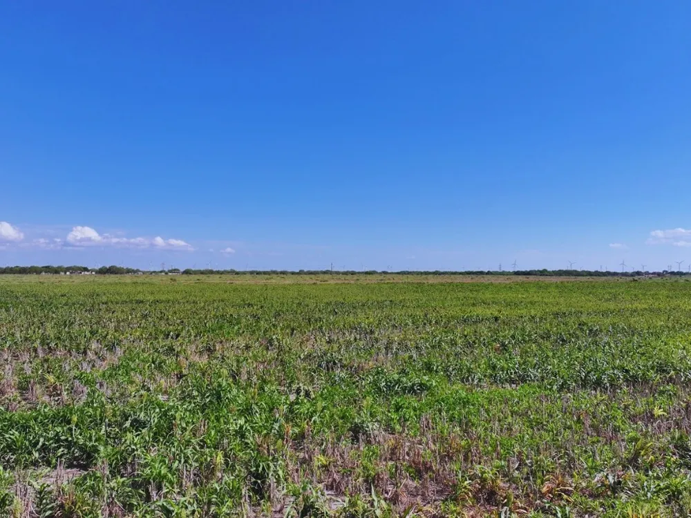 FM 53 Odem, TX 78370