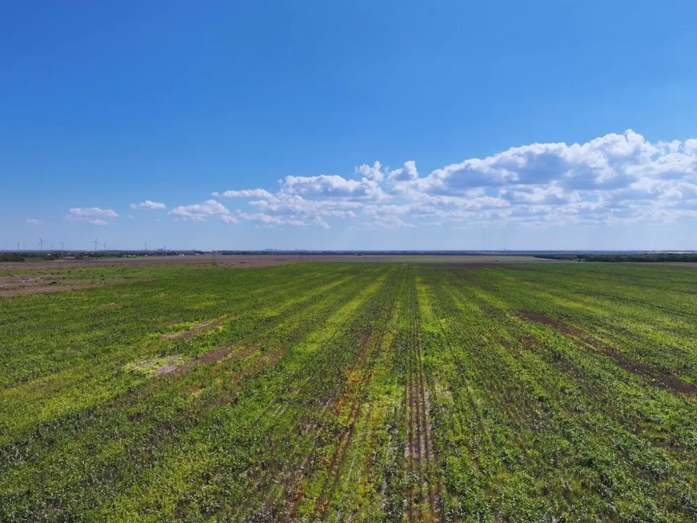 FM 53 Odem, TX 78370