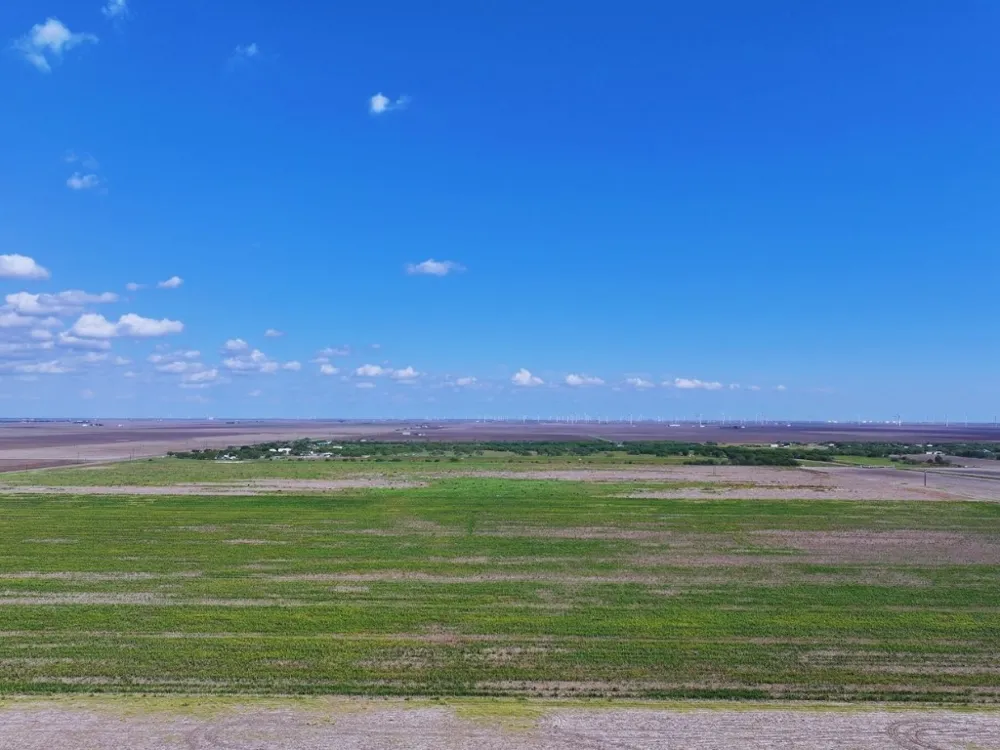 FM 53 Odem, TX 78370