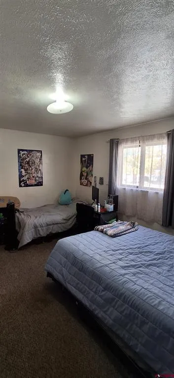 304 9th Street #3A Gunnison, CO 81230