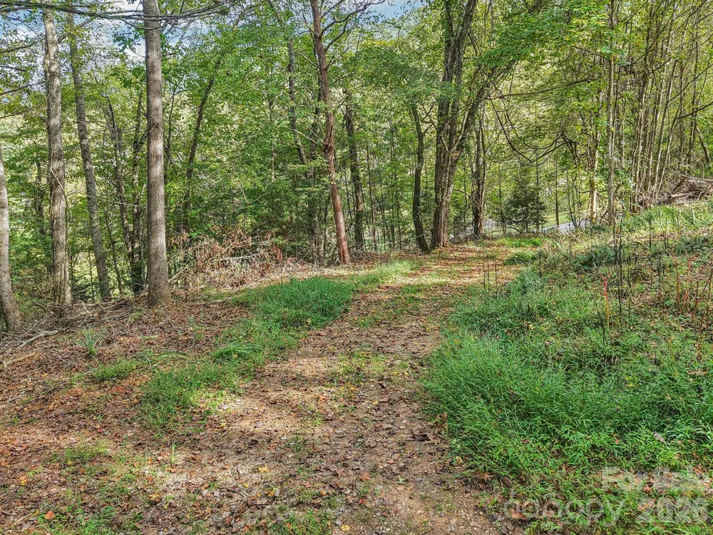 TBD Upper Glady Fork Road Candler, NC 28715