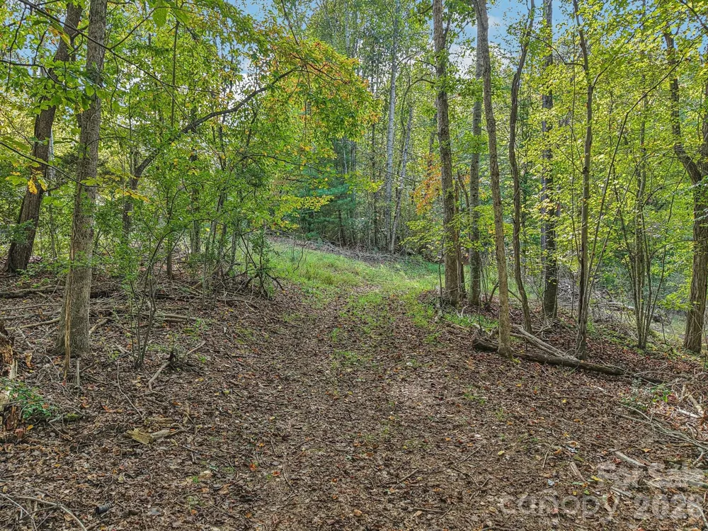 TBD Upper Glady Fork Road Candler, NC 28715