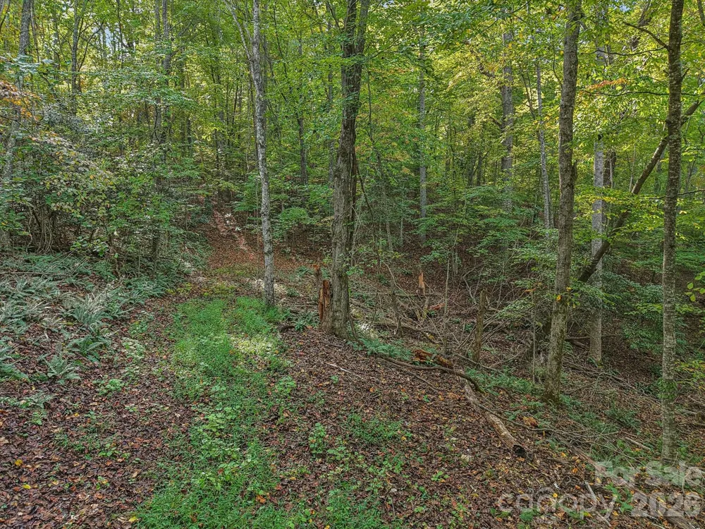 TBD Upper Glady Fork Road Candler, NC 28715