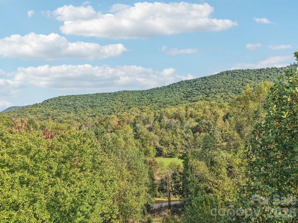 TBD Upper Glady Fork Road Candler, NC 28715