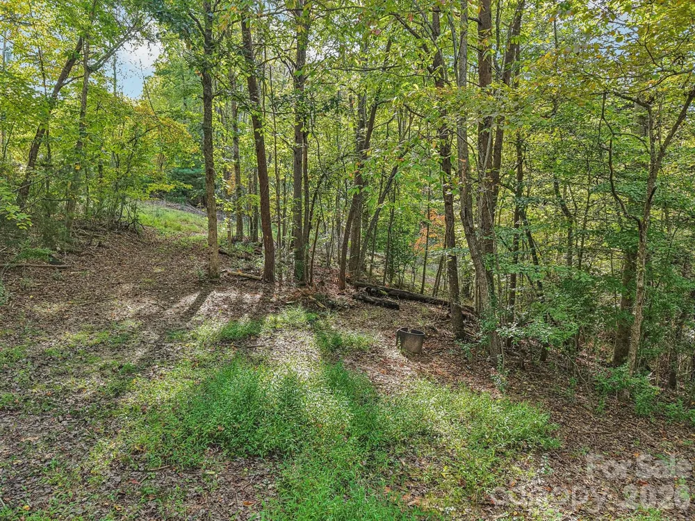TBD Upper Glady Fork Road Candler, NC 28715