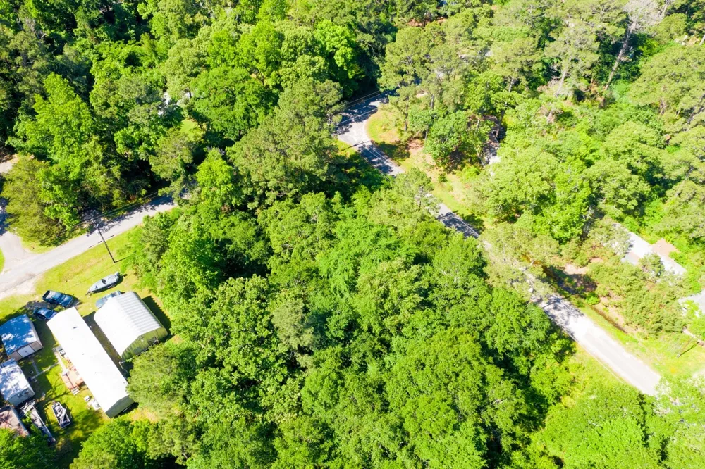 Hunters Drive Trinity, TX 75862