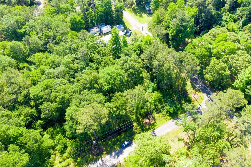 Hunters Drive Trinity, TX 75862