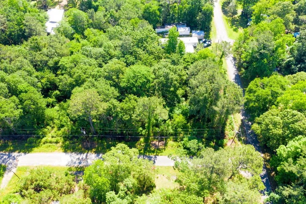 Hunters Drive Trinity, TX 75862