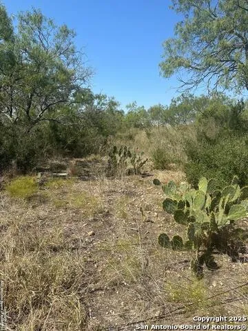 4435 stapper Lot 7 St Hedwig, TX 78152