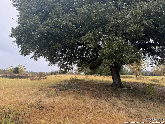 3841 E State Hwy 159 LaGrange, TX 78945