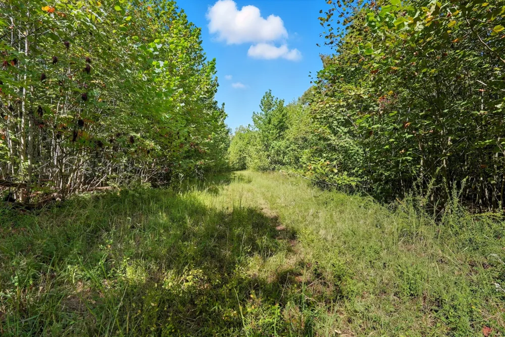 1 Bilbrey Road Cookeville, TN 38501