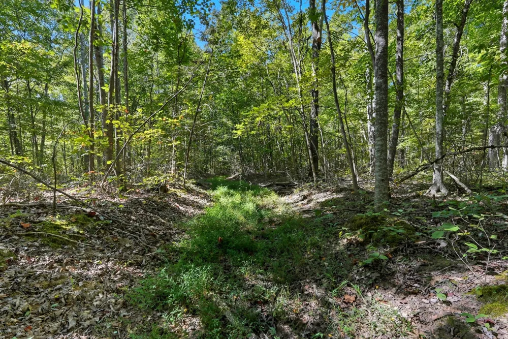 1 Bilbrey Road Cookeville, TN 38501