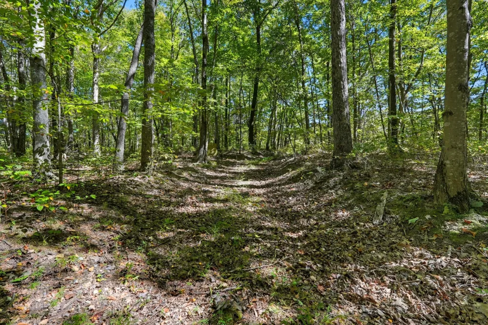 1 Bilbrey Road Cookeville, TN 38501