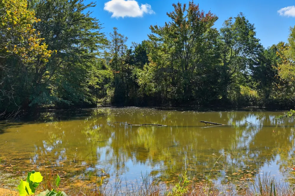 1 Bilbrey Road Cookeville, TN 38501