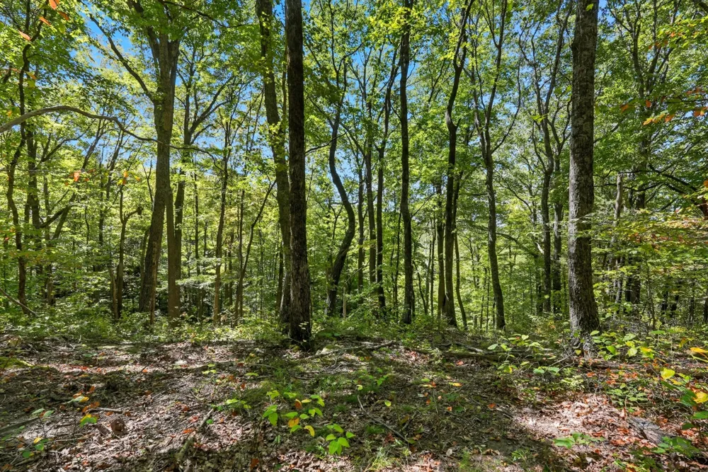 1 Bilbrey Road Cookeville, TN 38501