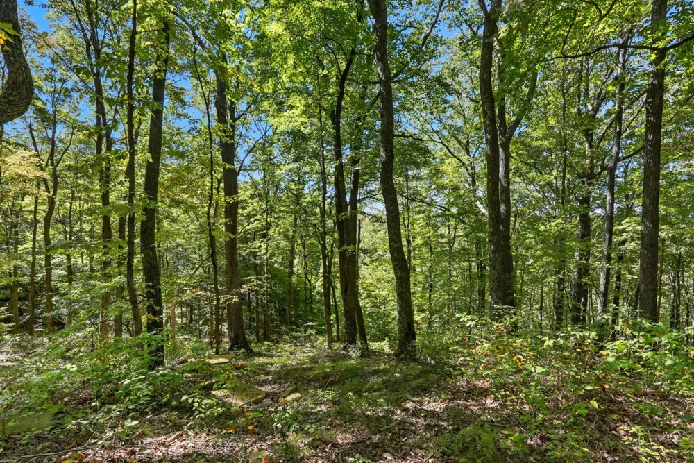 1 Bilbrey Road Cookeville, TN 38501