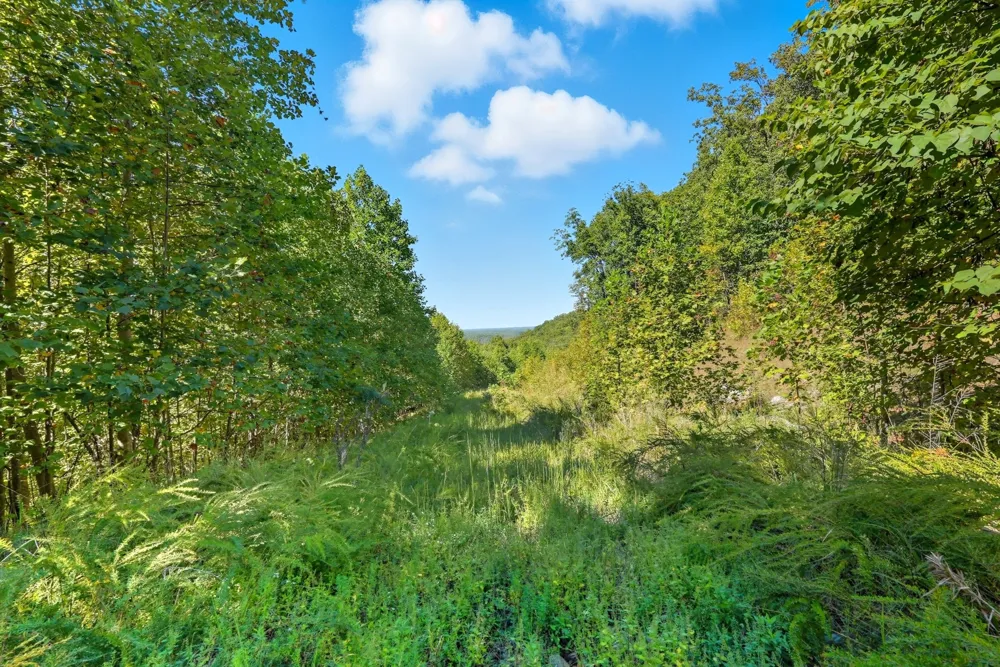 1 Bilbrey Road Cookeville, TN 38501