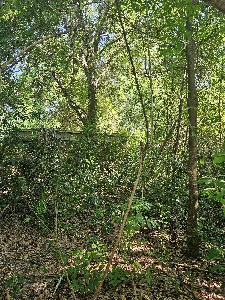 PRIVATE DRIVE Tavares, FL 32778