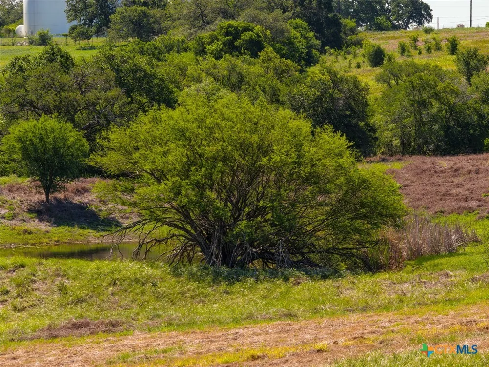 721 Branch Rd Seguin, TX 78155
