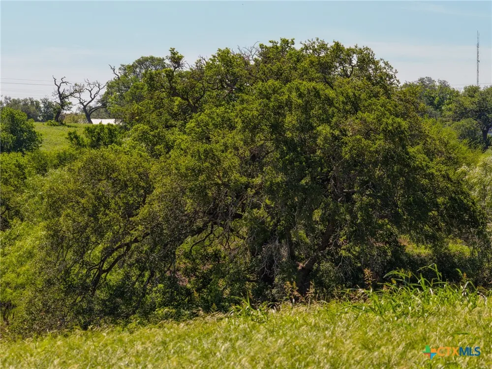 721 Branch Rd Seguin, TX 78155