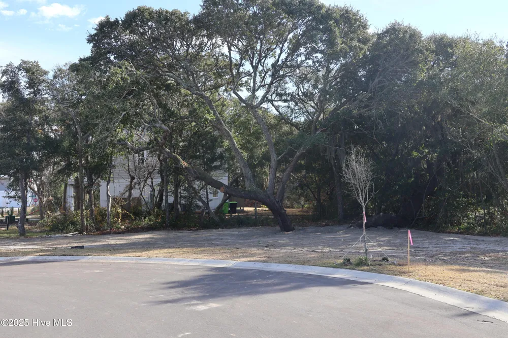 151 Auger Shell Court Surf City, NC 28445