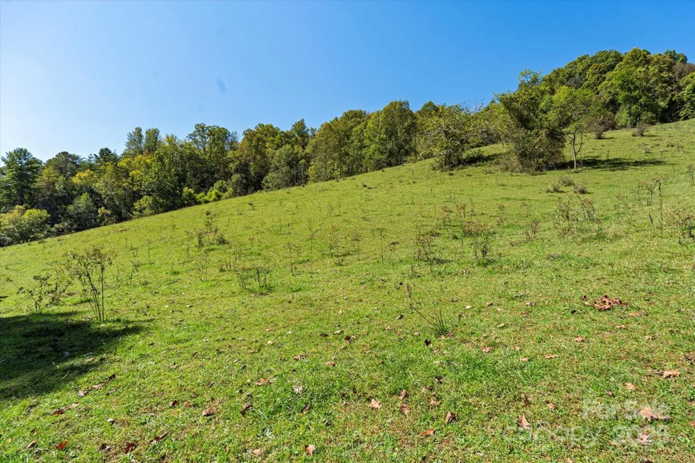1623 Ammons Branch Road Marshall, NC 28753