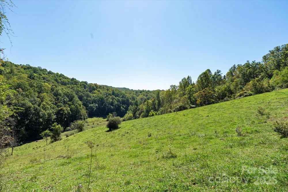 1623 Ammons Branch Road Marshall, NC 28753
