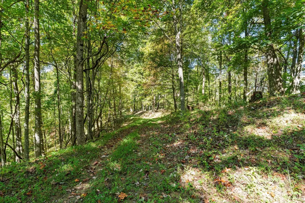 1623 Ammons Branch Road Marshall, NC 28753