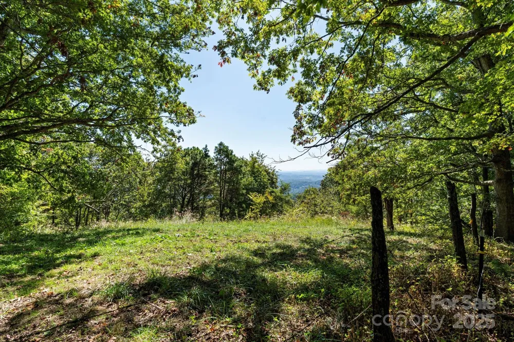 1623 Ammons Branch Road Marshall, NC 28753