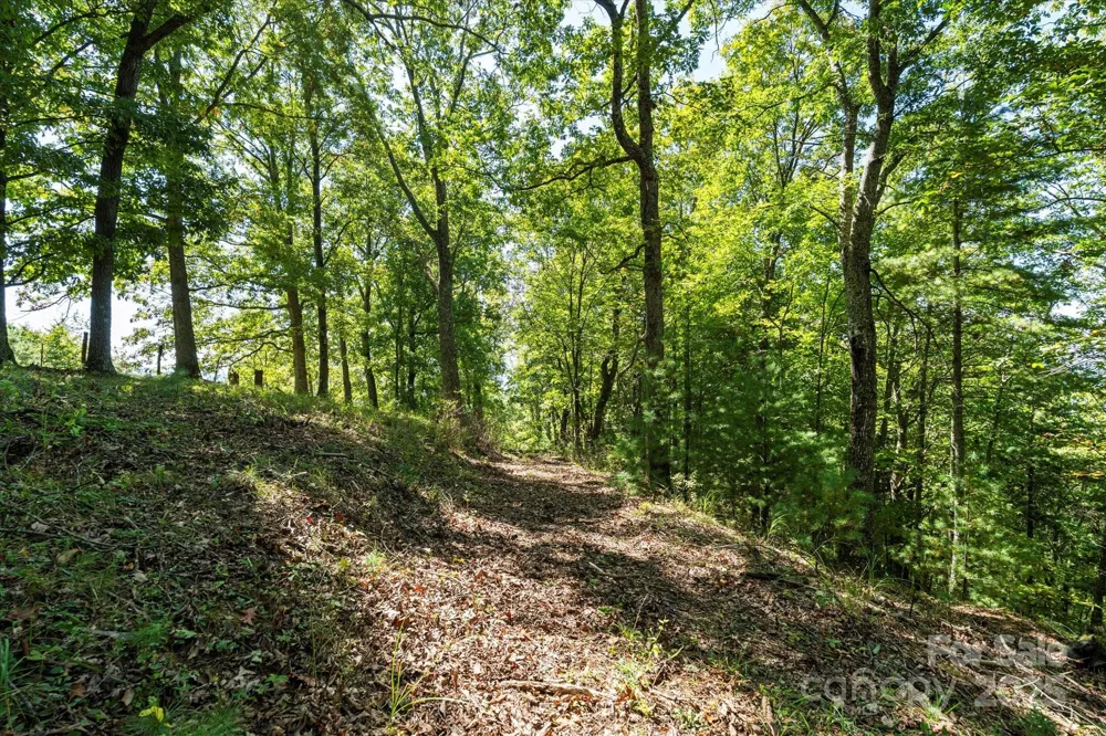 1623 Ammons Branch Road Marshall, NC 28753