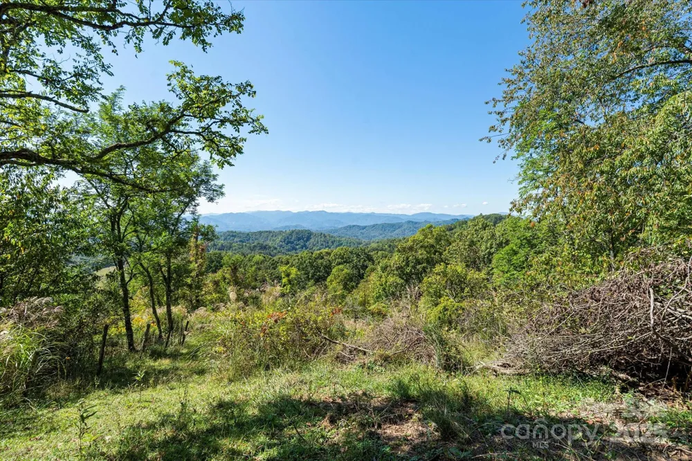 1623 Ammons Branch Road Marshall, NC 28753