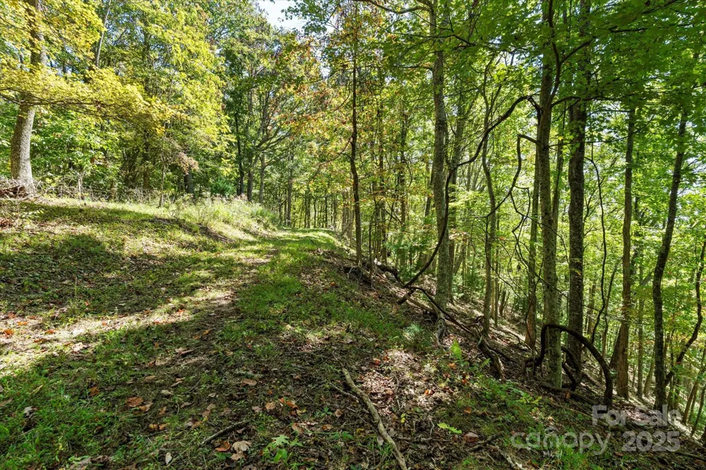 1623 Ammons Branch Road Marshall, NC 28753