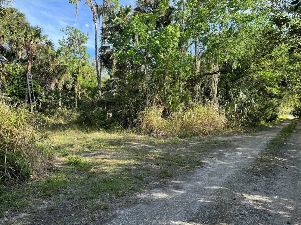 ORANGE ST/SEC 1 Oviedo, FL 32765