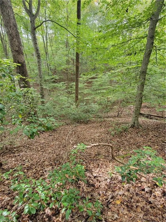 1849 Mission Extension Road Danbury, NC 27016