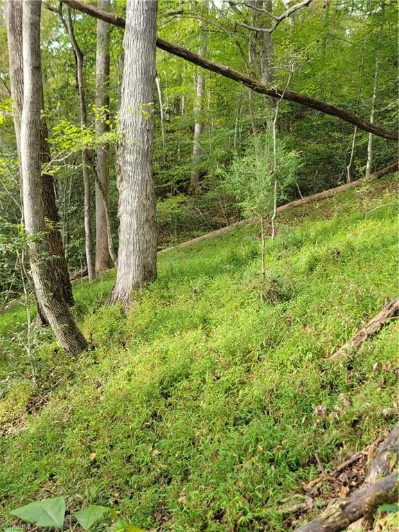 1849 Mission Extension Road Danbury, NC 27016