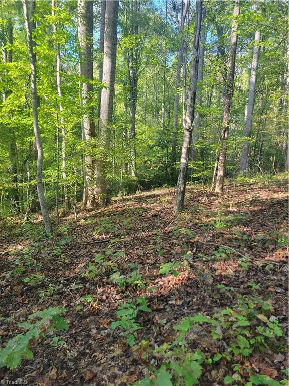 1849 Mission Extension Road Danbury, NC 27016