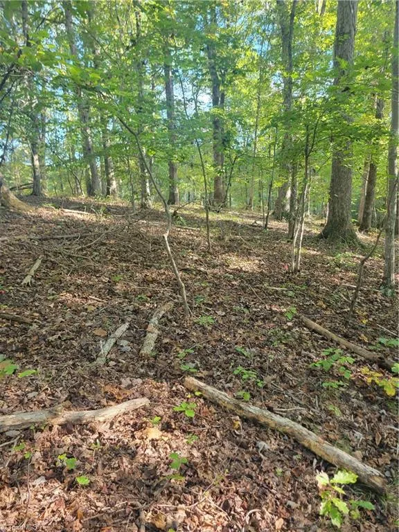 1849 Mission Extension Road Danbury, NC 27016